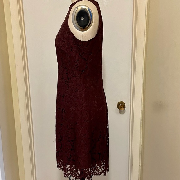 Ann Taylor Maroon/Burgundy Lace Dress - Picture 5 of 7